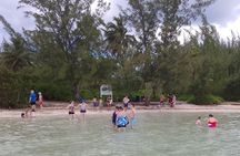 Starfish Encounter & Mangrove Exploration in Grand Cayman