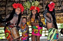 Panama City Embera Village and Jungle Waterfall Rainforest Tour