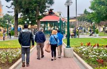 Lima: Local Wine Tour 