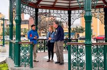 Lima: Local Wine Tour 