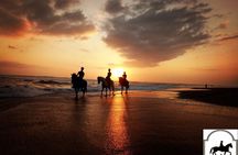Bali Horse Riding on the Ricefields & Beach