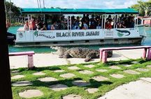 Black River Safari Guided Tour & YS Falls Daytrip with Transfers