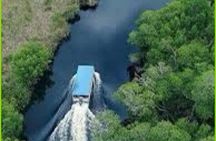 Black River Safari Guided Tour & YS Falls Daytrip with Transfers