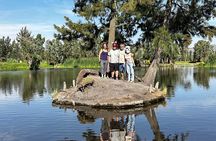 Mexico City Get to know Xochimilco and the axolotl sanctuary