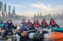 Mexico City the island of the dolls and the ajolotario by kayak