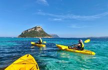 Golfo Aranci: Kayak tour with aperitif&dolphin sighting (max 9 Pax)