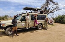 3-Days Budget Lodge Safari - Tarangire, Ngorongoro & Lake Manyara