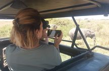 3-Days Budget Lodge Safari - Tarangire, Ngorongoro & Lake Manyara