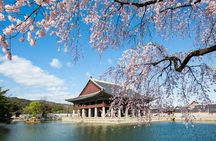 One day Essential Seoul City Tour with English or Spanish