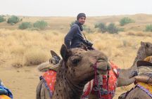 Stay Under The Billions Stars Overnight Camel Safari Tour 