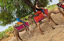 Stay Under The Billions Stars Overnight Camel Safari Tour 