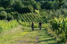 Montecarlo E-Bike One Day Tour with Lunch and Tasting