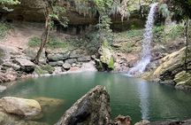 Tropical Rainforest Luxury Experiences 