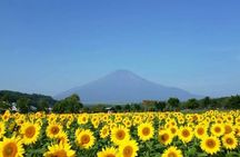 Mount Fuji 5th Station, Oshino Hakkai and Swan Lake Day Tour