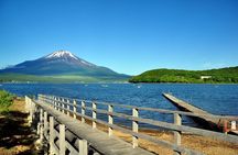 Mount Fuji 5th Station, Oshino Hakkai and Swan Lake Day Tour