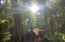 Explore Trails in the Atlantic Forest at the Brazilian Falls