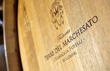  Retrospettiva di Marchesale Wine Tasting and Tour in Bolgheri