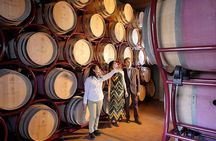 Retrospettiva di Marchesale Wine Tasting and Tour in Bolgheri