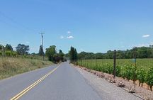 Guided Electric Bike Wine Tour Through Sonoma County
