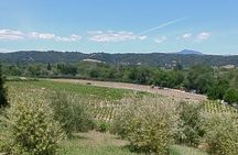Guided Electric Bike Wine Tour Through Sonoma County