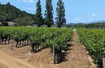Guided Electric Bike Wine Tour Through Sonoma County