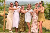 Tuscany Wine Tour: 2 Wineries & Chianti from San Gimignano