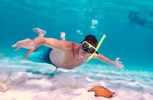 Cozumel's Best: Snorkel Adventure in El Cielo and El Cielito