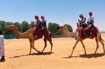Desert Safari Dubai Tour with 30 Minutes Quad Biking