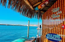 TAILFINS Destin Tiki Crab Island Dolphin Tour PRIVATE( 3 Hours)