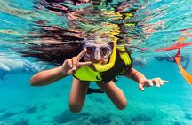 Turtle Snorkeling Tour in Tres Trapi, Aruba
