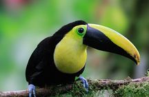 Private customizable tour at Mindo cloud forest 