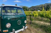 Carmel Valley Wine Tour in a Vintage VW Bus