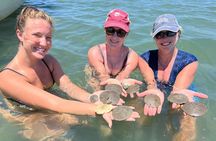 Private Island Eco Tours on a Private Boat from Shackleford Banks