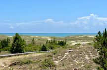 Private Island Eco Tours on a Private Boat from Shackleford Banks
