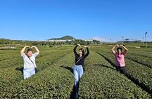 Jeju Customize Private VAN Tour of East or West or South (~8pax)