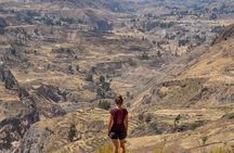  2 Days Colca Canyon Tour with Transfer to Puno 