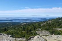 Experience Acadia: Private 3-hr tour with local guide.
