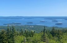 Experience Acadia: Private 3-hr tour with local guide.