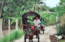 Full day Cu Chi Tunnels and Mekong Delta