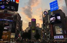 Shibuya and Harajuku Highlights Walking Tour