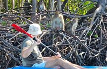 Half Day Mangrove and Lanta Old Town Tour