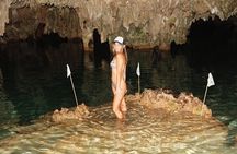 Private Half-day Luxury Experience with Turtles & Majestic Cenote
