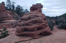 Zion National Park/Kolob Terrace Private 1/2 Day Sightseeing Tour