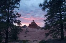 Zion National Park/Kolob Terrace Private 1/2 Day Sightseeing Tour