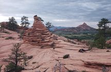 Zion National Park/Kolob Terrace Private 1/2 Day Sightseeing Tour