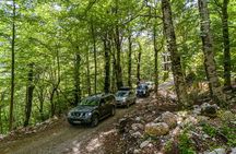 Bar Shore Excursion: Rumija 4x4 Experience with Traditional Lunch