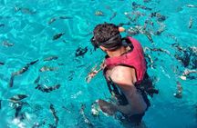 4 Hours Private Speedboat Tour with Snorkeling 