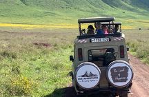 4 Days Private Tour Tarangire Crater and Serengeti 