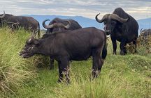 4 Days Private Tour Tarangire Crater and Serengeti 