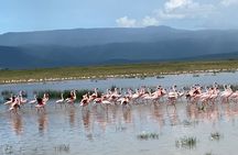 4 Days Private Tour Tarangire Crater and Serengeti 